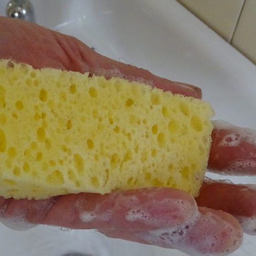Infused Foam Sponges